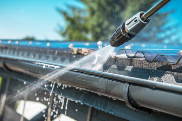 Best Exterior Home Cleaning  in Sidney, IL