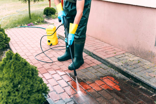 Best Fence Pressure Washing  in Sidney, IL