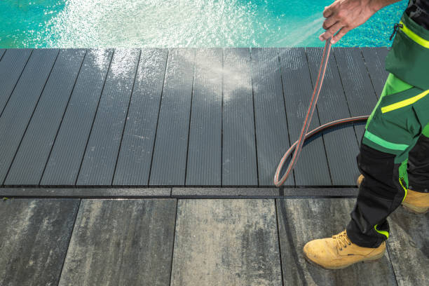 Best Local Pressure Washing Services  in Sidney, IL