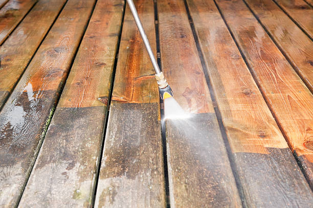 Best Pressure Washing Near Me  in Sidney, IL